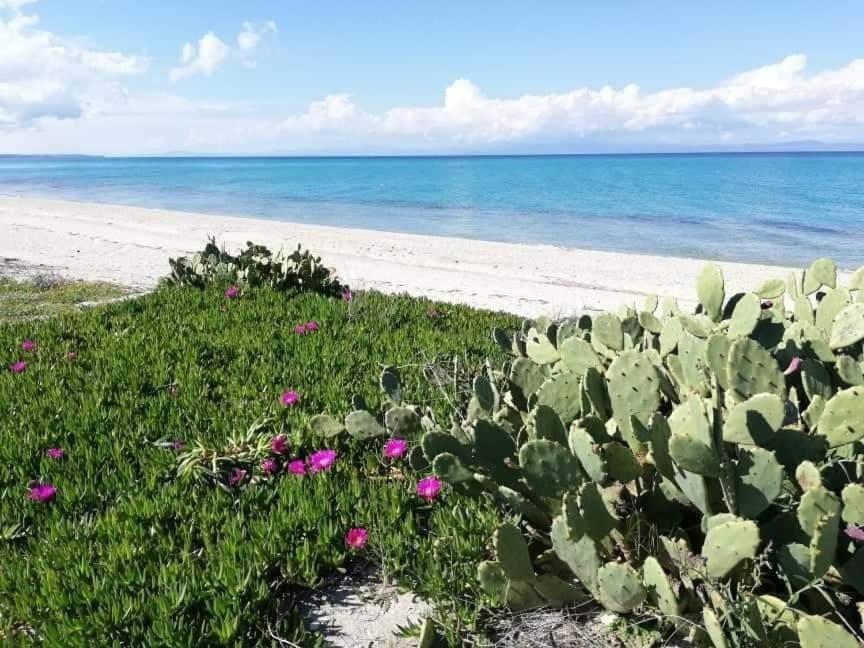 Villa Christina Sea Side A Hanioti Exteriör bild